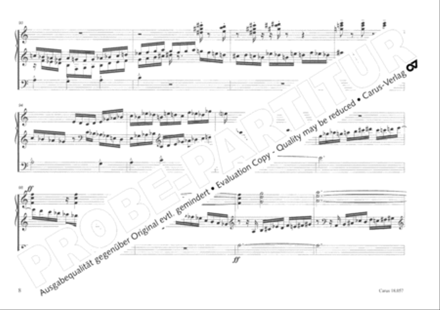 Toccata and Fugue Organ scores gallery preview page 9