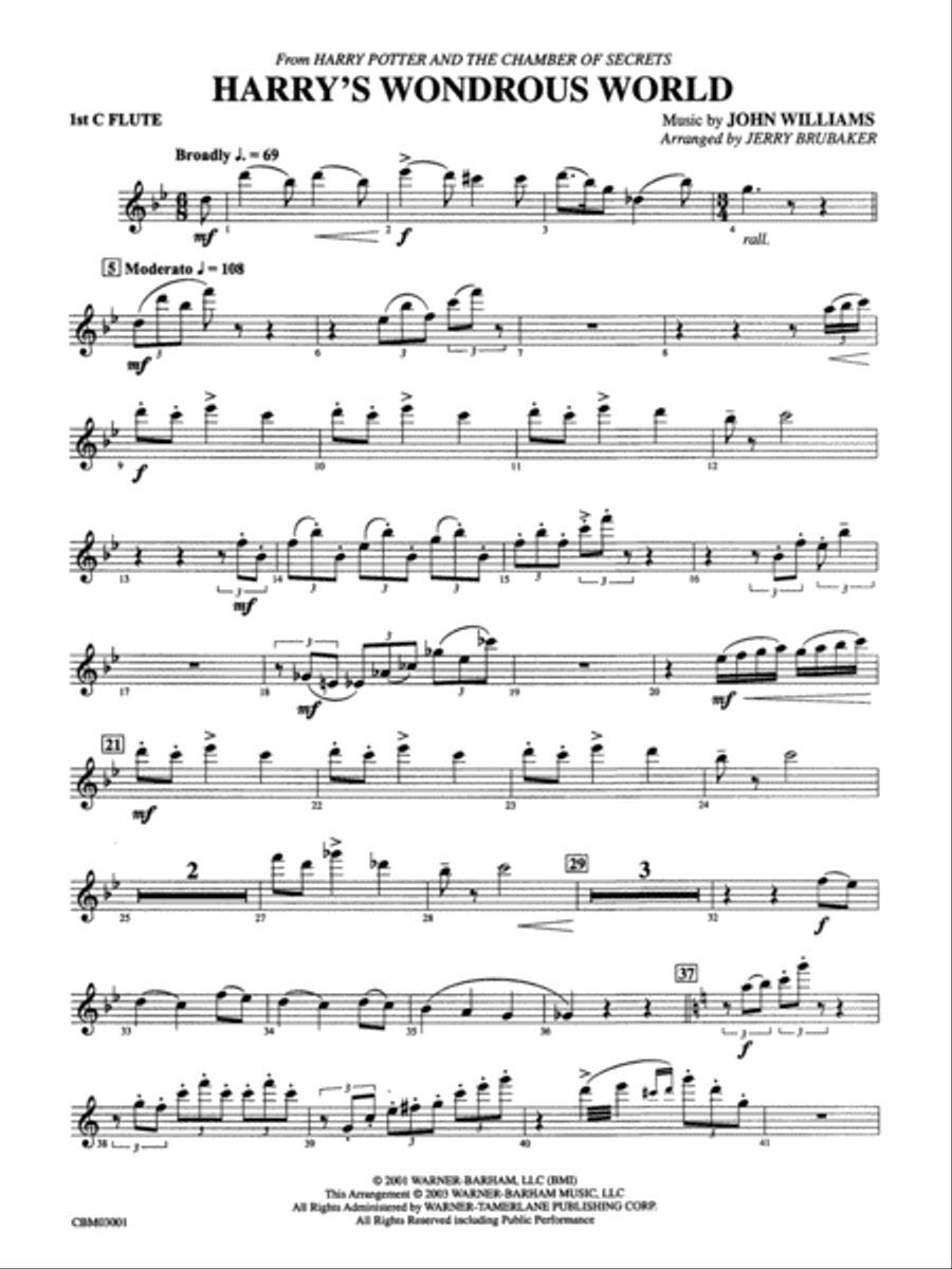 Harry's Wondrous World (from Harry Potter and the Chamber of Secrets): Flute Concert Band scores gallery preview page 1