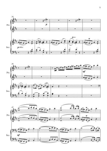 Mozart Sonata in D, K. 448 for 2 Pianos (1st movement) Arranged for 1 piano-4 hands by Philip Kim
