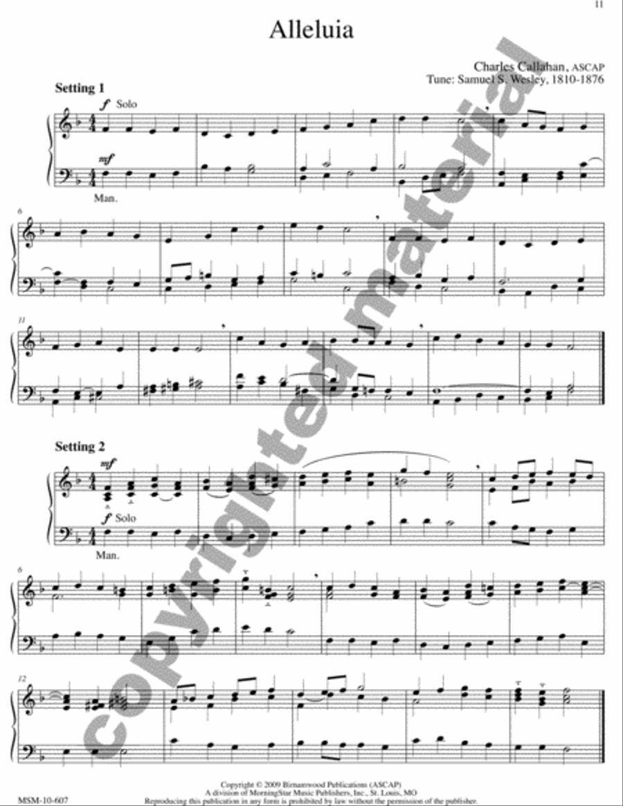 The Art of Hymn Playing: Introductions, Preludes, Free Accompaniments, and Alternate Harmonizations, Volume II image number null