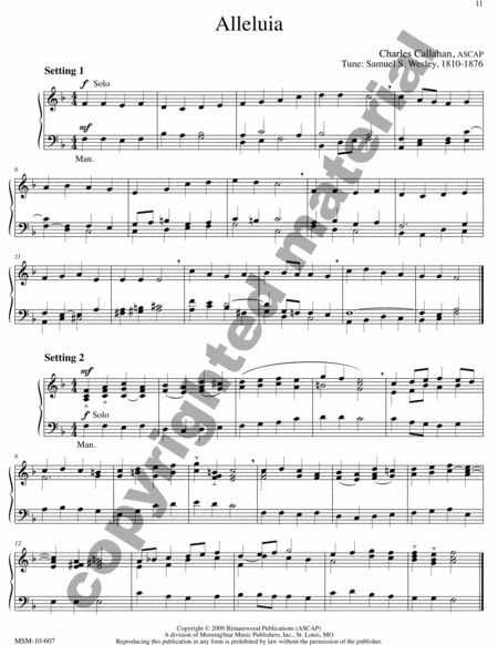 The Art of Hymn Playing: Introductions, Preludes, Free Accompaniments, and Alternate Harmonizations, Volume II image number null