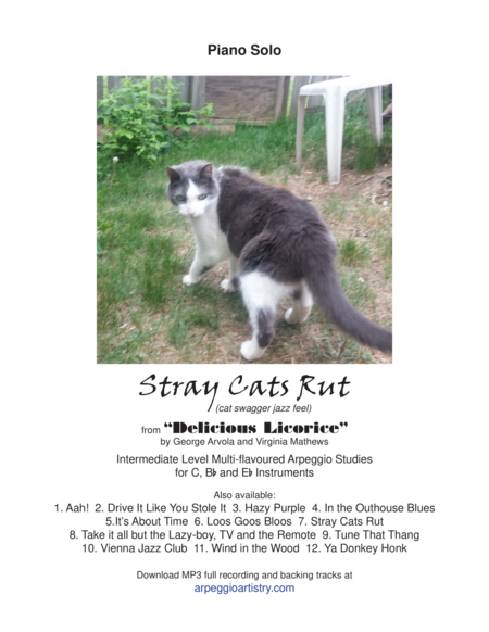 Stray Cats Ruts, Piano Solo