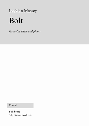 Book cover for Bolt