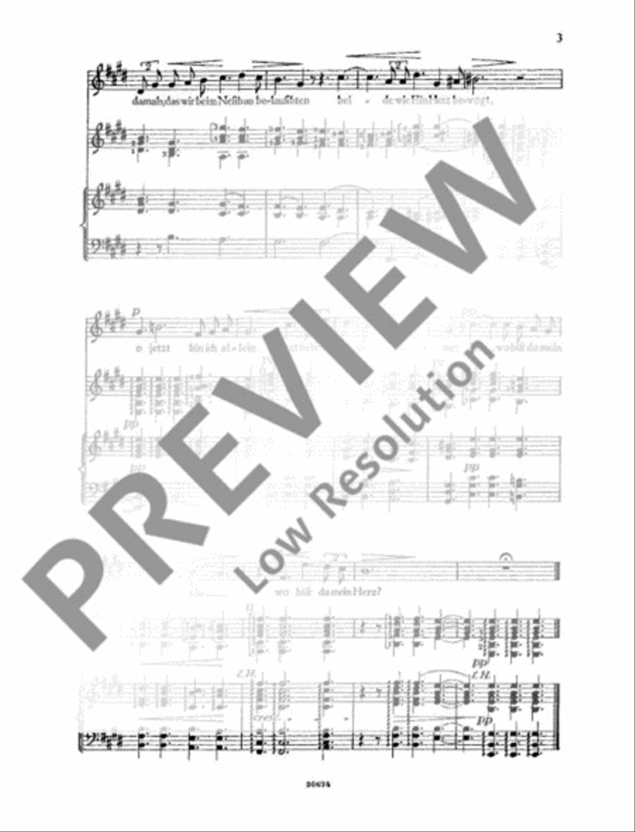 Lieder zur Laute Lieder zur Laute Voice Solo scores gallery preview page 6
