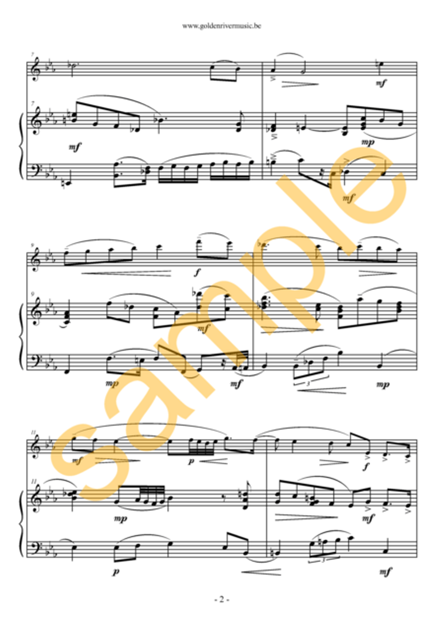 Un consuelo nocturno / Nocturnal consulation for violin Violin Solo scores gallery preview page 3