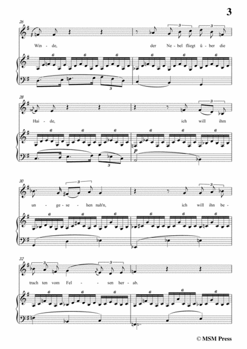 Schubert-Shilrik und Vinvela,in G Major,for Voice&Piano image number null