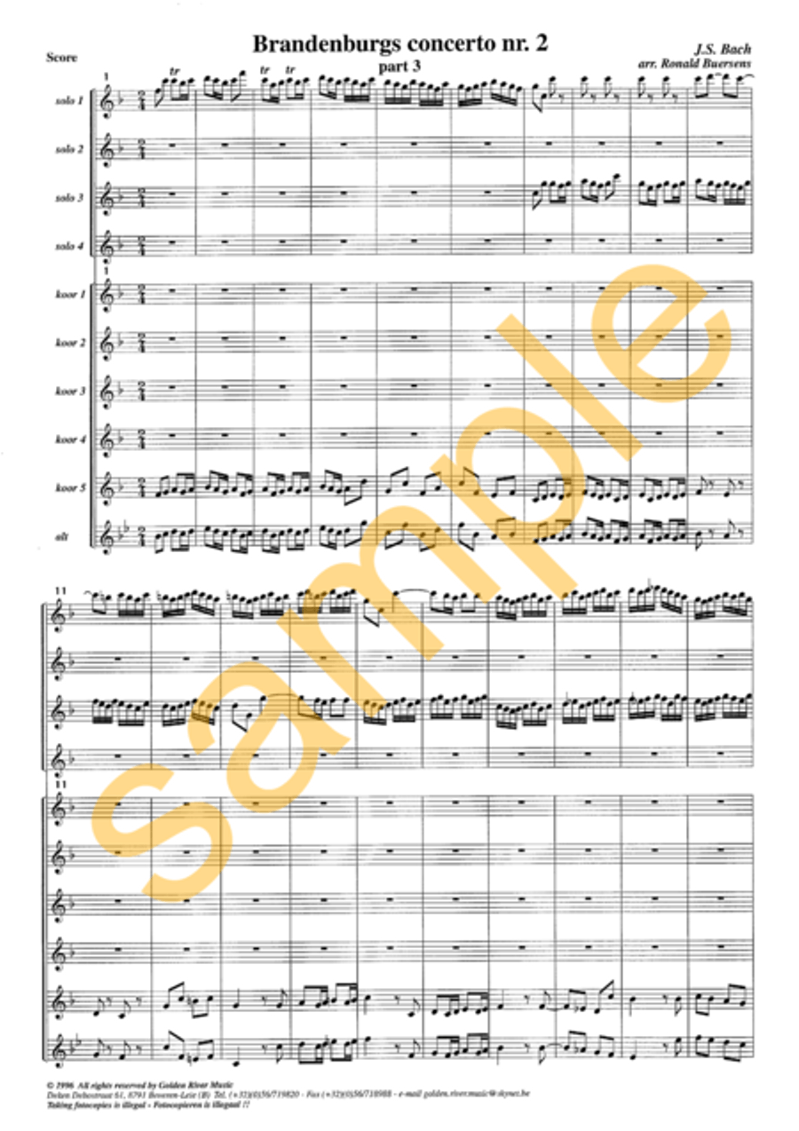 2nd Brandenburg Concerto 2nd Brandenburg Concerto Flute Choir scores gallery preview page 13