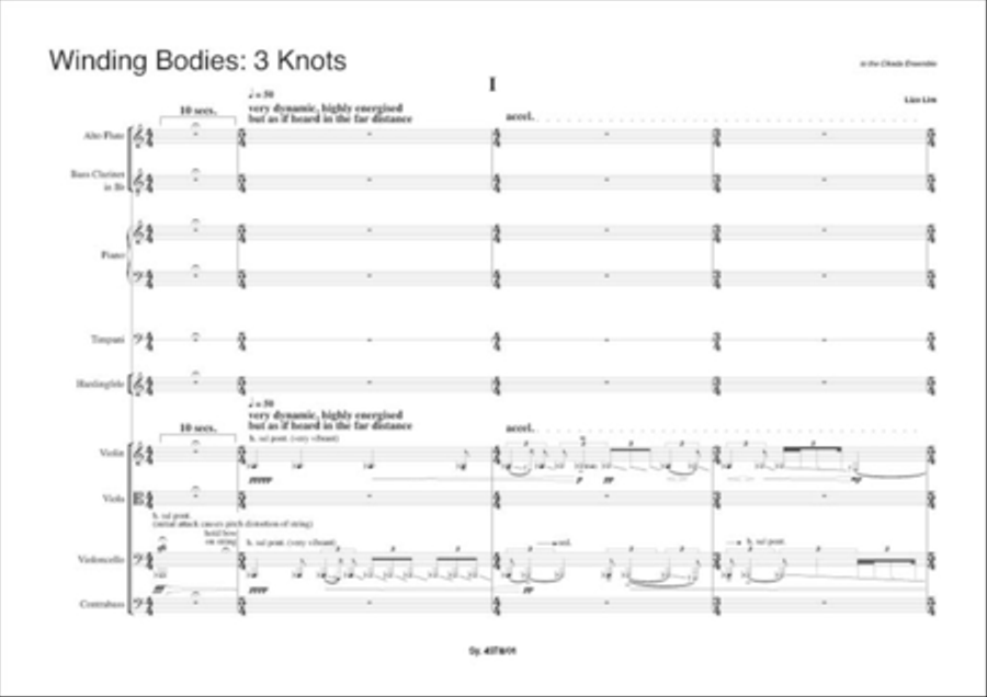 Winding Bodies: 3 Knots Orchestra scores gallery preview page 2