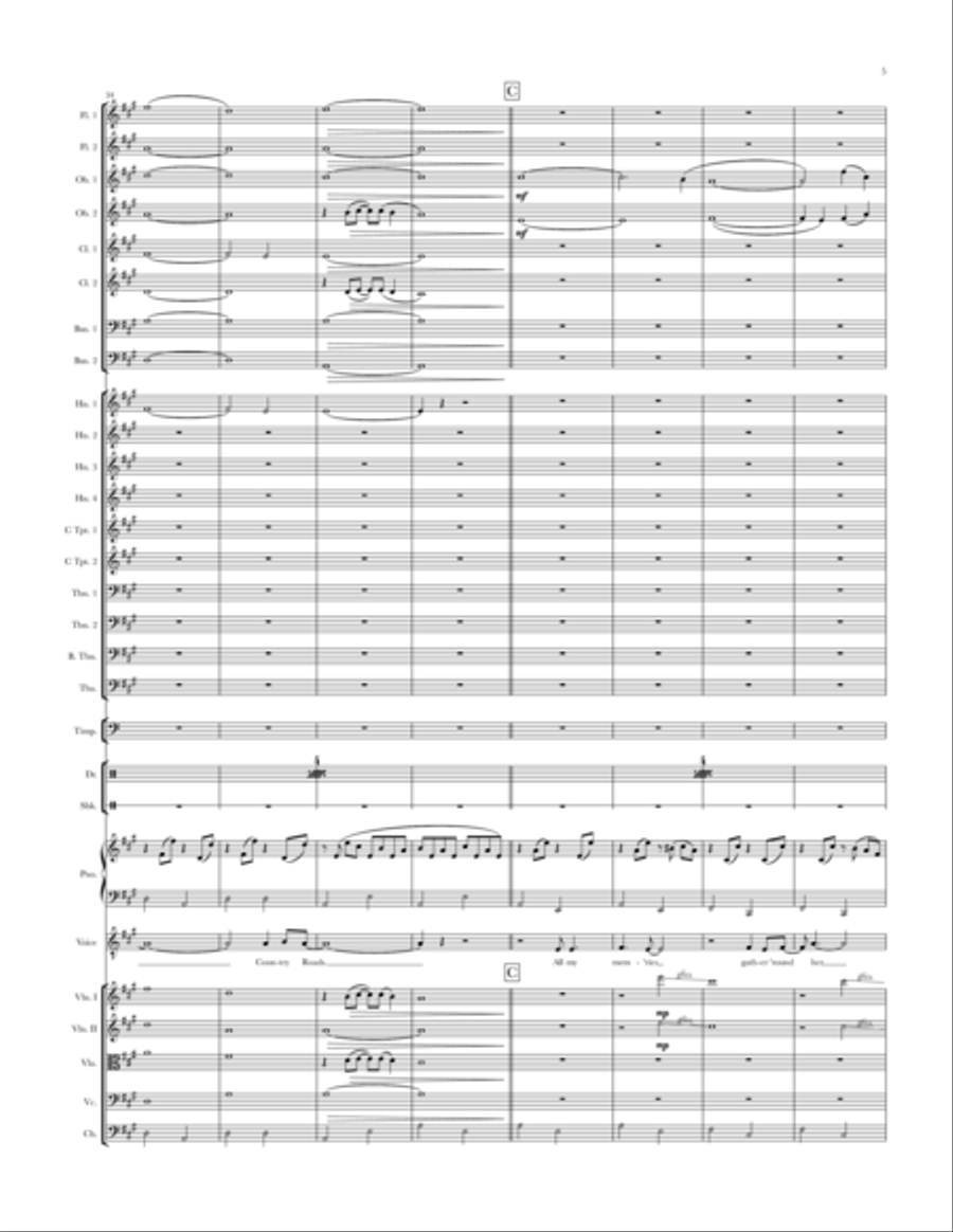 Take Me Home, Country Roads Full Orchestra scores gallery preview page 5