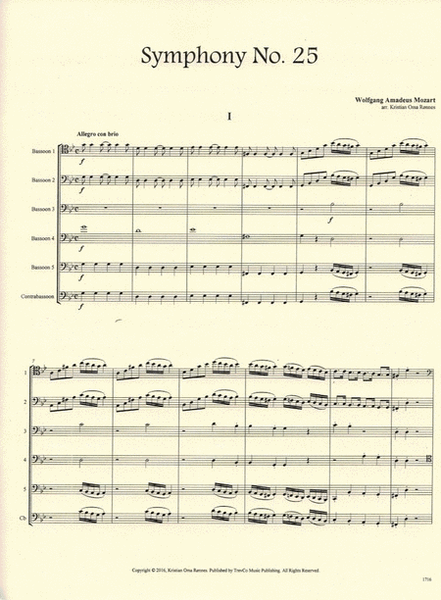 Symphony No. 25