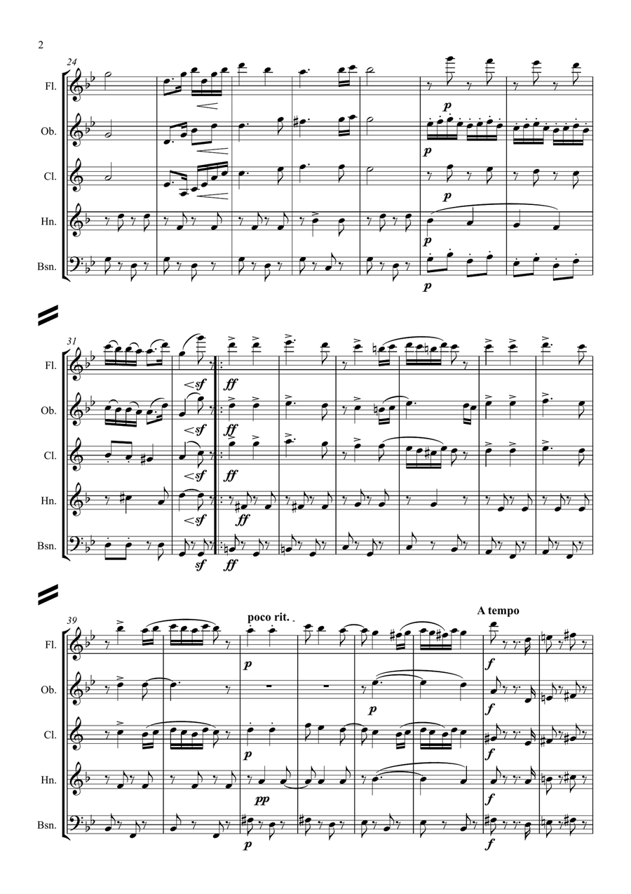 Brahms: Hungarian Dances (Ungarische Tänze) WoO1 No.5 - wind quintet Woodwind Quintet scores gallery preview page 3