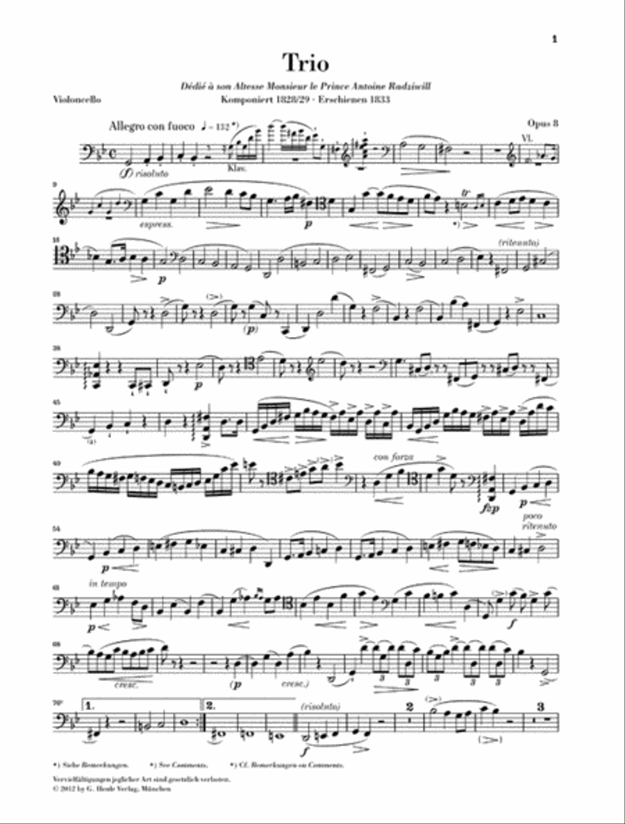 Frédéric Chopin – Piano Trio in G minor, Op. 8 Piano Trio scores gallery preview page 5