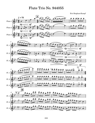 Flute Trio No. 944055
