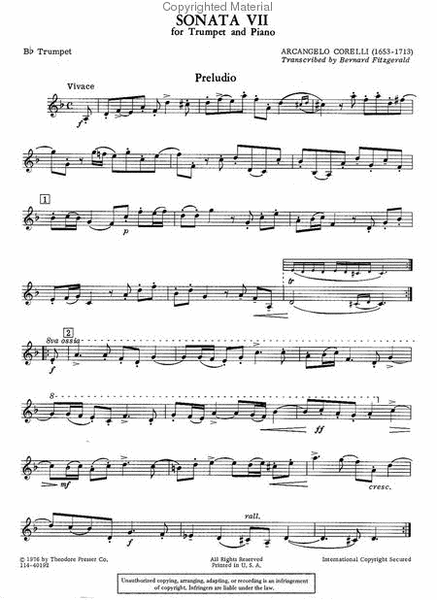 Sonata VII