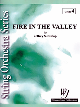 Book cover for Fire in the Valley