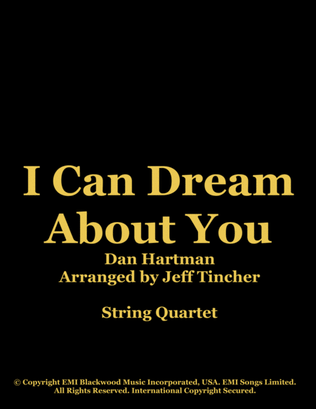 Book cover for I Can Dream About You
