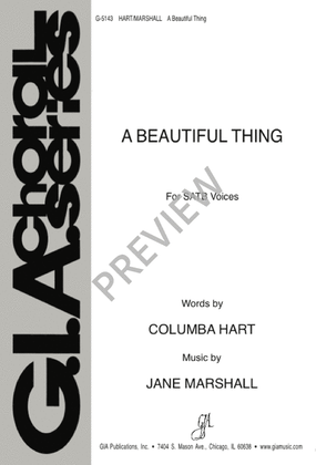 Book cover for A Beautiful Thing