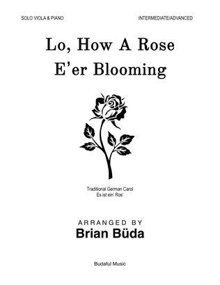 Lo, How A Rose E'er Blooming - Viola Solo