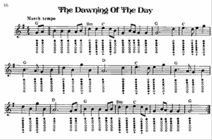 Deluxe Tinwhistle Songbook Tin Whistle Sheet Music Sheet