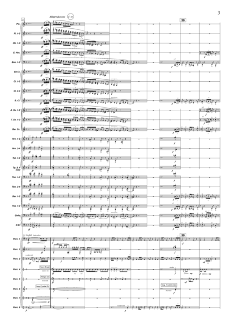 Sinfonia de Plata Concert Band scores gallery preview page 4