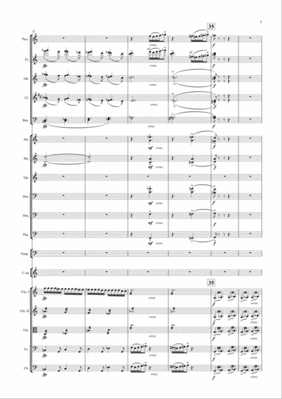 THE STORM Symphonic Picture Full Orchestra scores gallery preview page 5