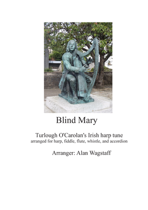 Book cover for Blind Mary