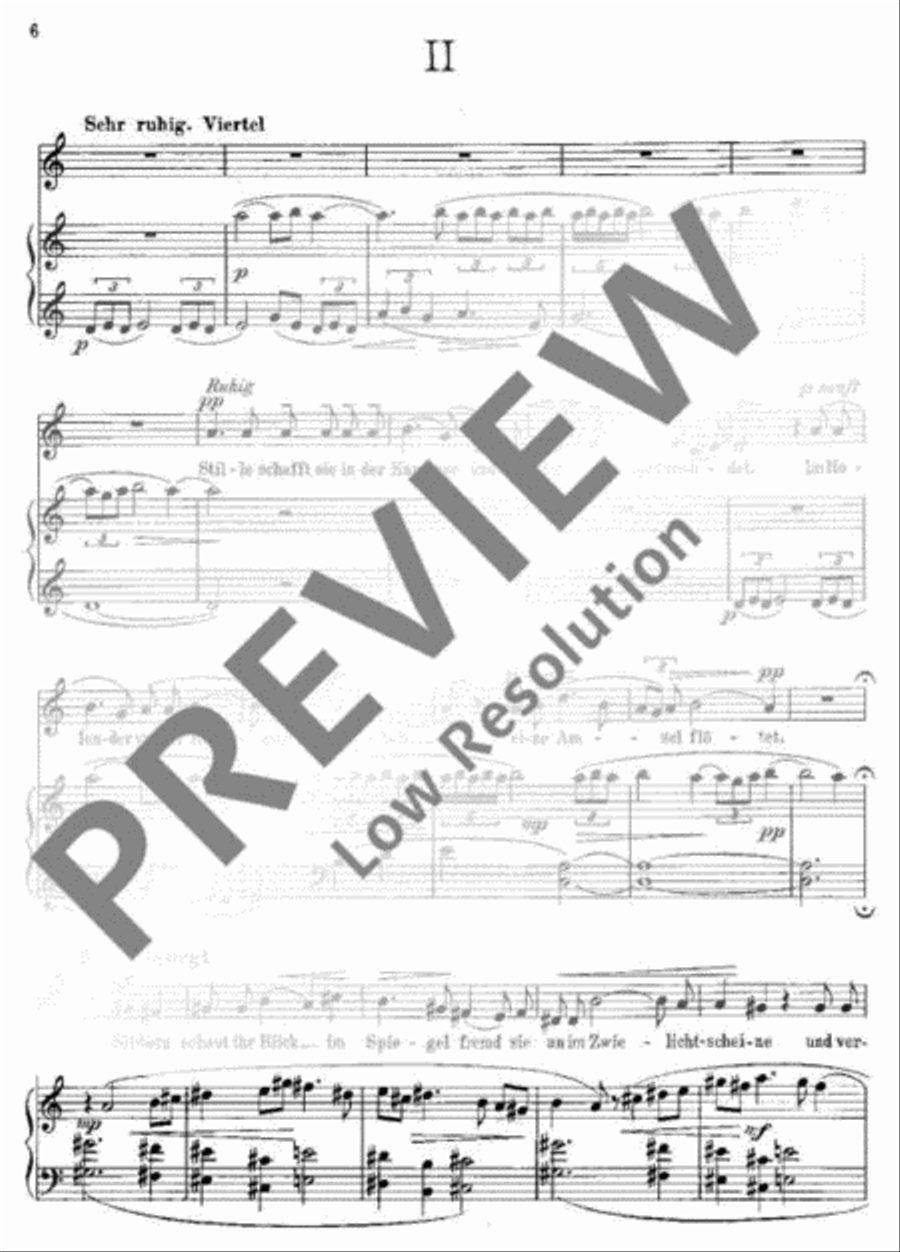 Die junge Magd Flute scores gallery preview page 7