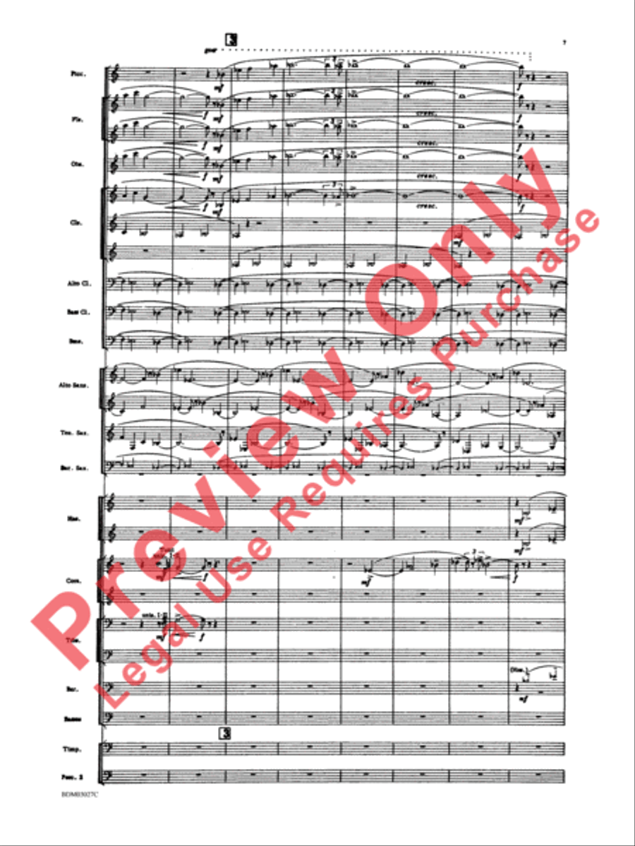 La Fiesta Mexicana La Fiesta Mexicana Concert Band scores gallery preview page 10