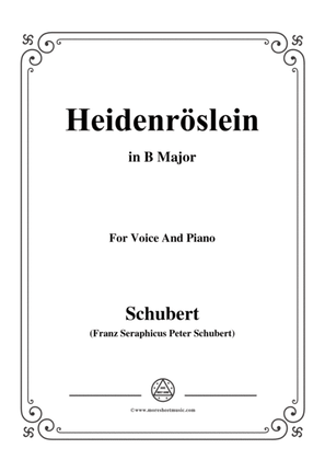 Book cover for Schubert-Heidenröslein in B Major,for voice and piano