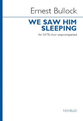 Book cover for We Saw Him Sleeping