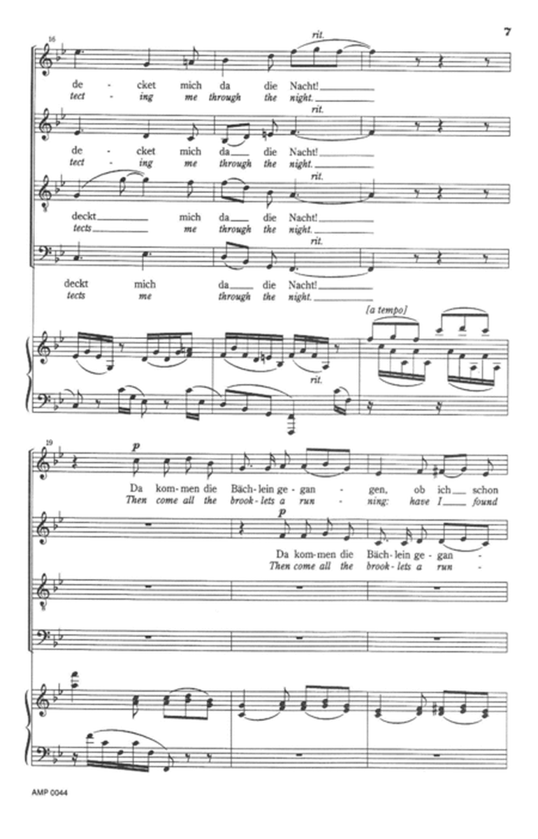 Die Einsame (from Vier Notturnos, Op. 22, no. 1) image number null