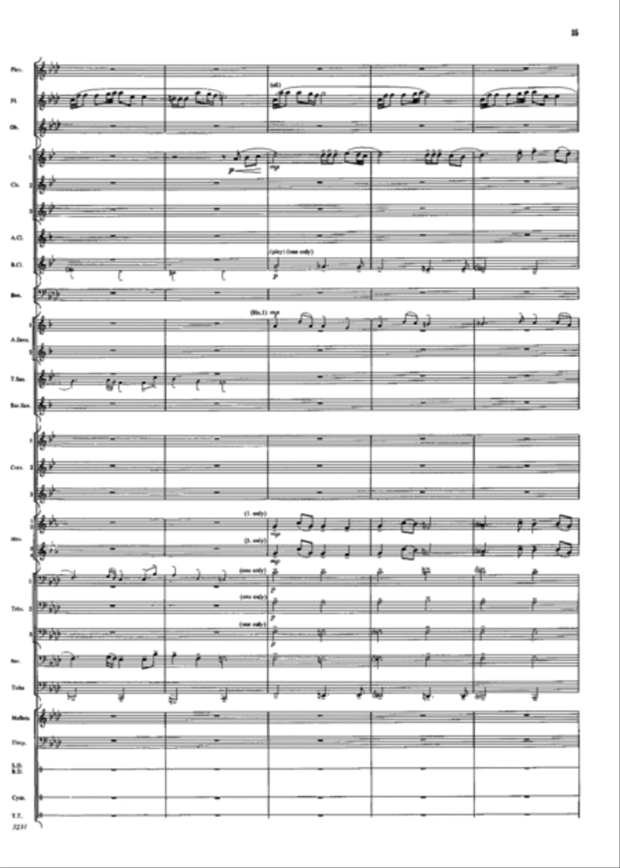 Aventura Concert Band scores gallery preview page 14