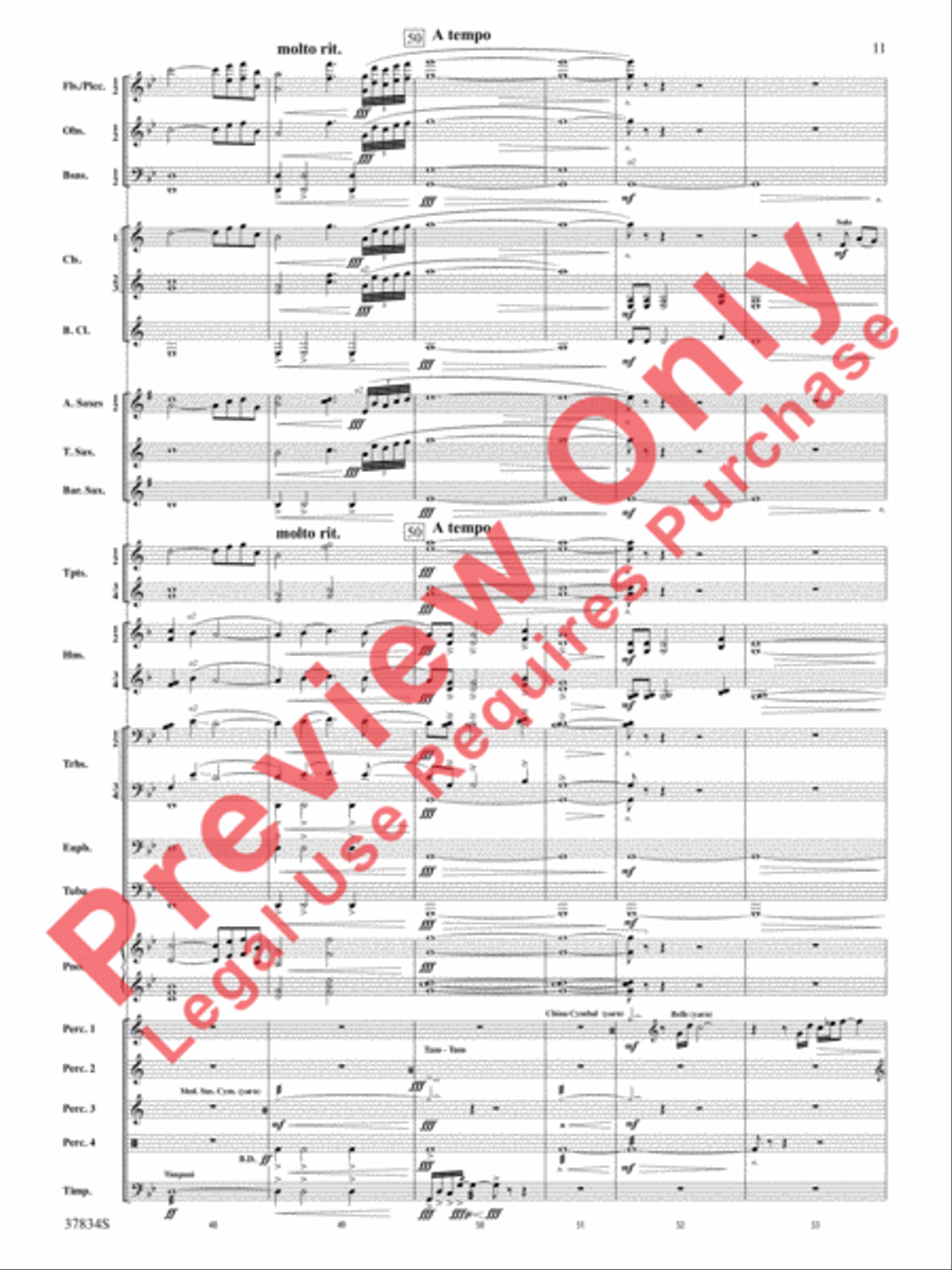Poor Wayfaring Stranger Poor Wayfaring Stranger Concert Band scores gallery preview page 12