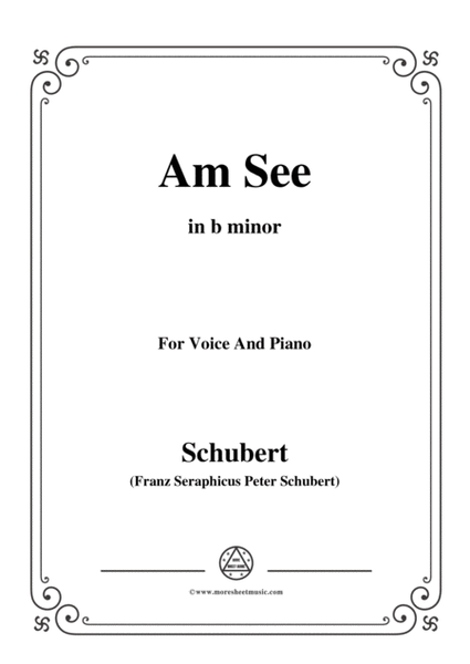 Schubert-Am See,in b minor,for Voice&Piano image number null