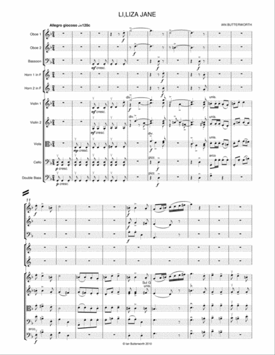 IAN BUTTERWORTH Li'l Liza Jane for chamber orchestra Chamber Orchestra scores gallery preview page 2