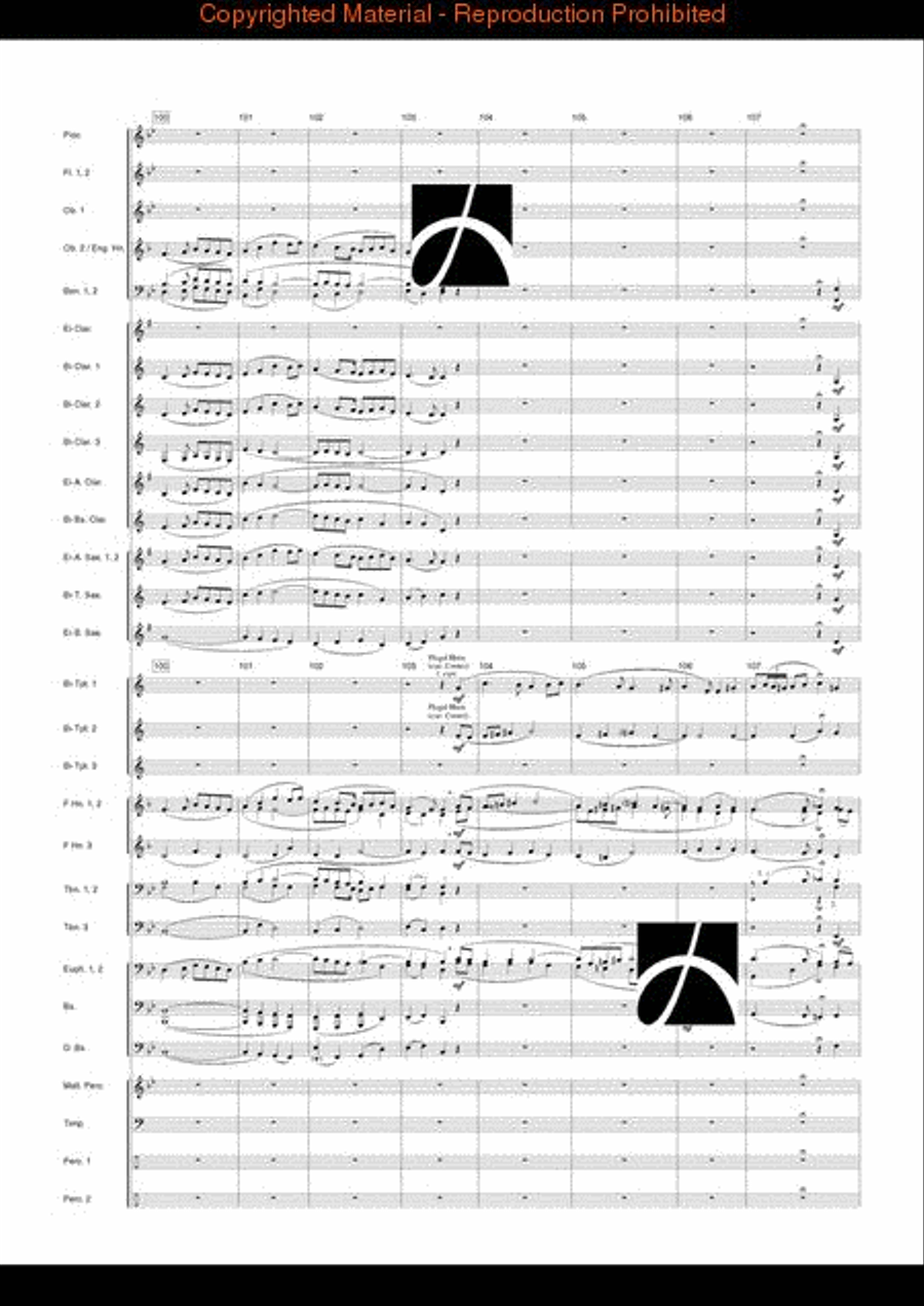 Dublin Dances Dublin Dances Concert Band scores gallery preview page 14