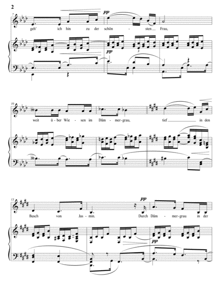 STRAUSS: Traum durch die Dämmerung, Op. 29 no. 1 (transposed to E major)