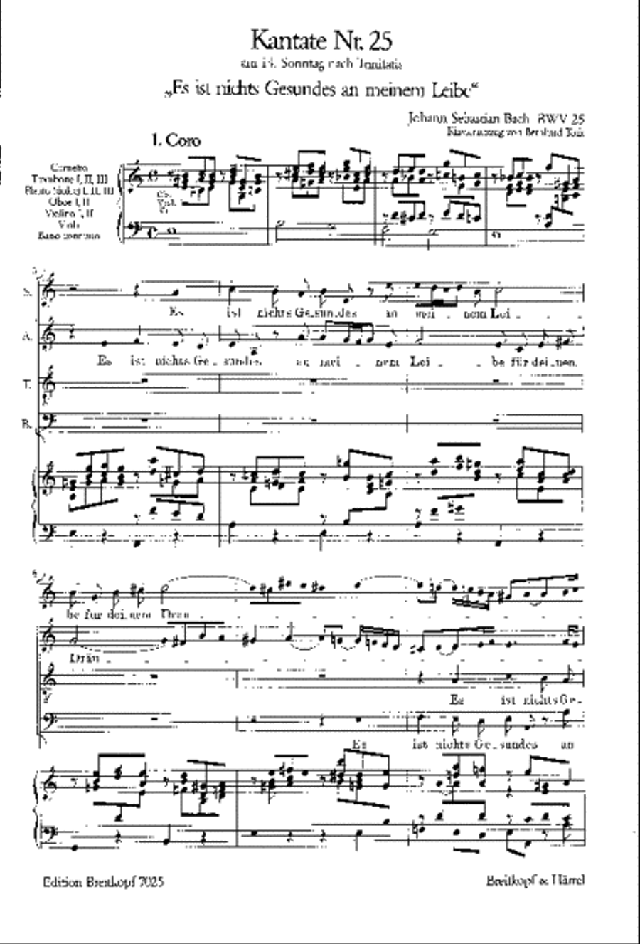 Cantata BWV 25 “Es ist nichts Gesundes an meinem Leibe” STB scores gallery preview page 2