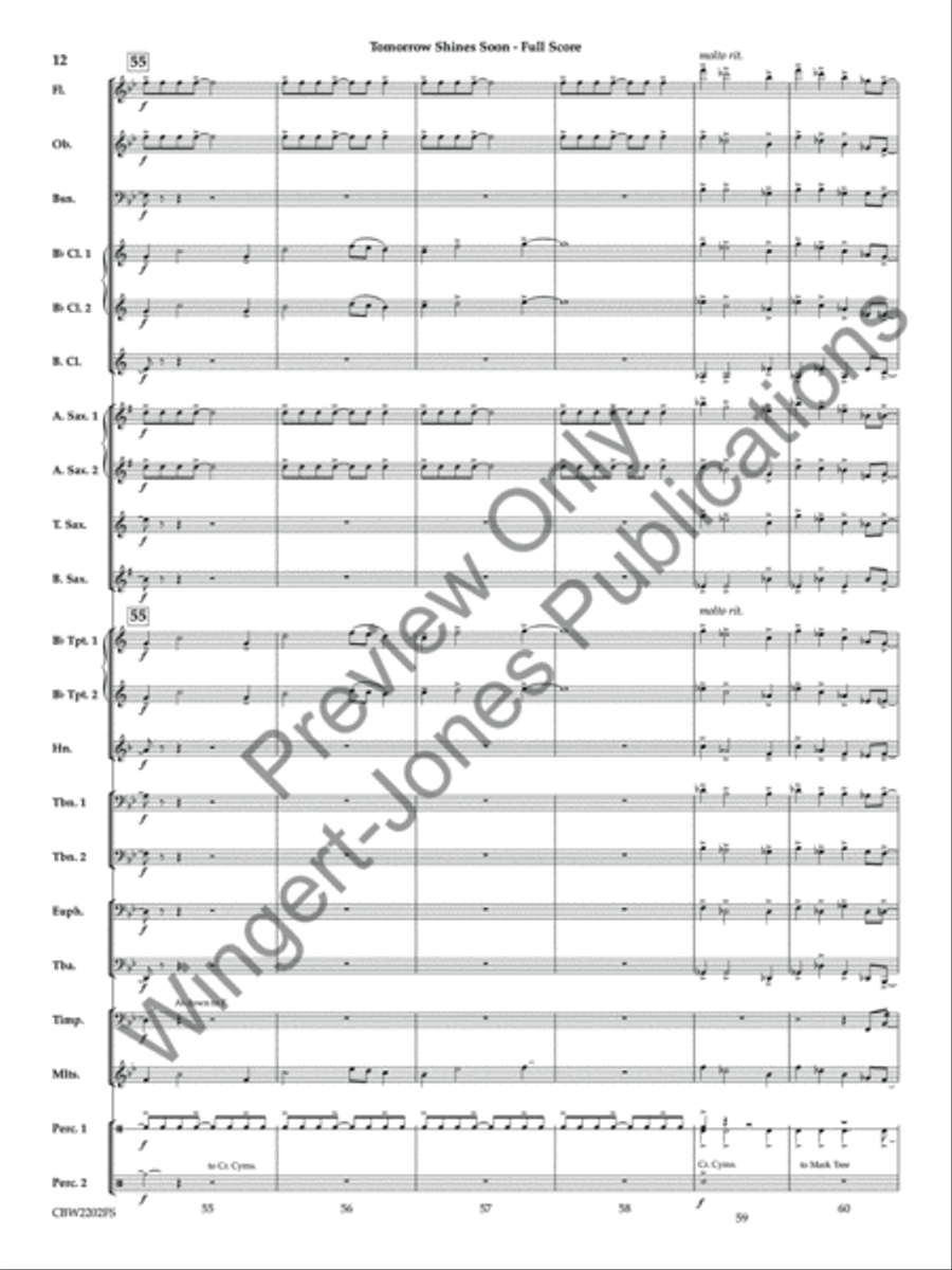Tomorrow Shines Soon (Score) Concert Band scores gallery preview page 13