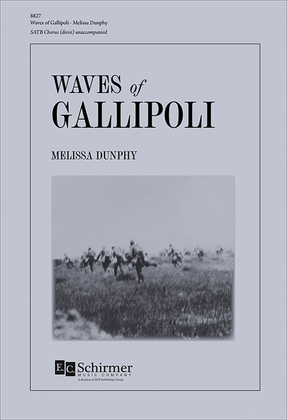 Book cover for Waves of Gallipoli