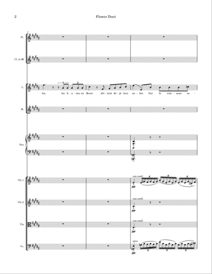 Flower Song from Lakme Chamber Orchestra scores gallery preview page 2