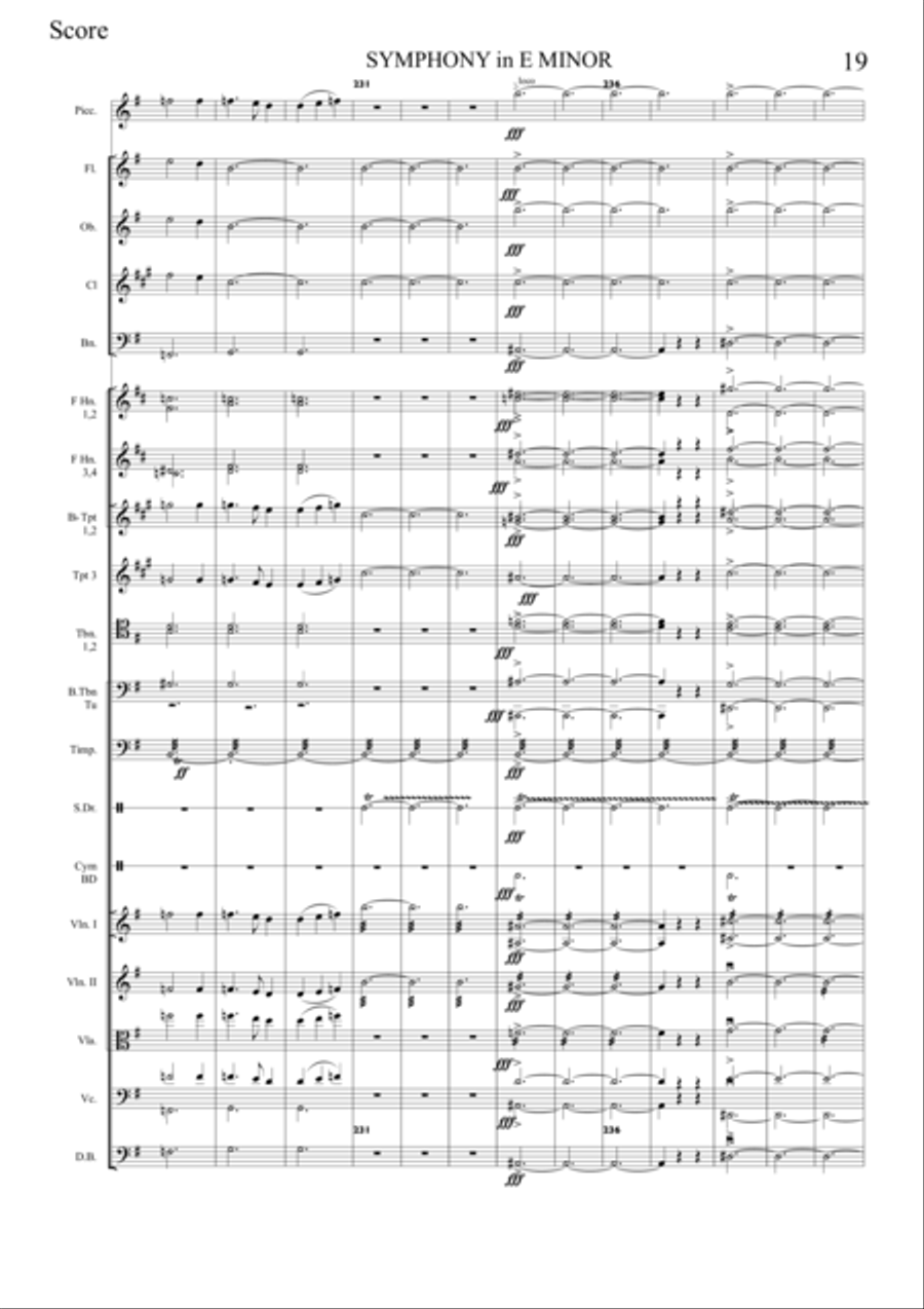SYMPHONY in E minor 1st Movement String Orchestra scores gallery preview page 6