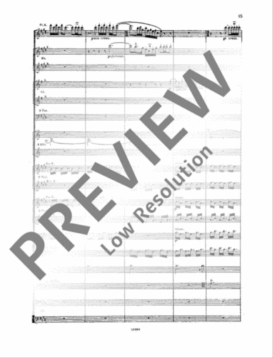 Siegfried Orchestra scores gallery preview page 18