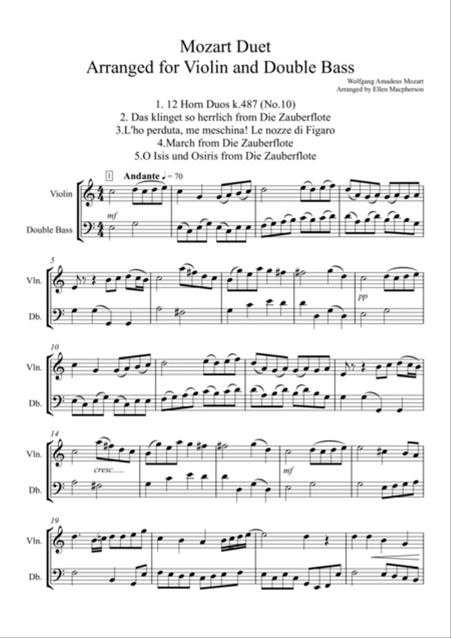 Mozart Duet arranged for Violin and Double Bass