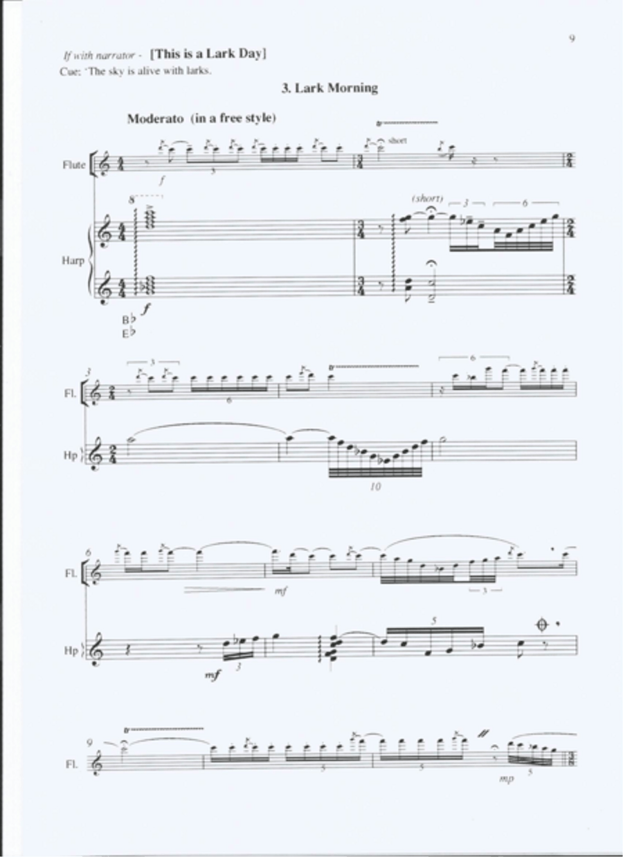 The Turning Seasons Flute scores gallery preview page 5
