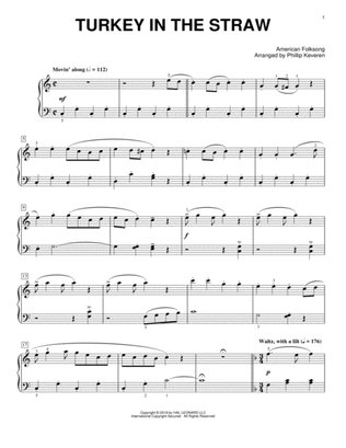 Book cover for Turkey In The Straw [Classical version] (arr. Phillip Keveren)
