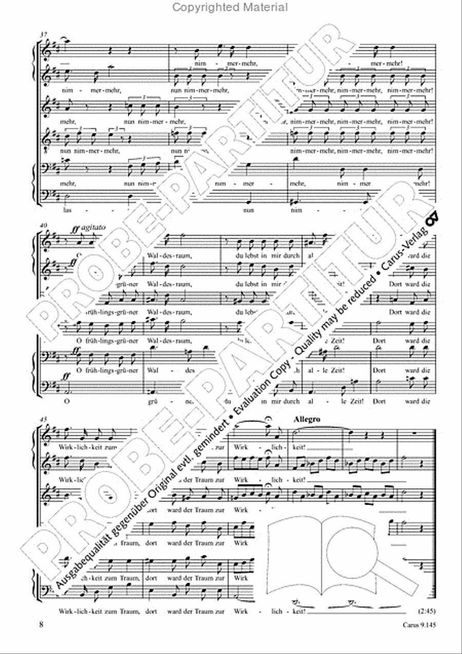 Gottwald/Grieg: Drei Lieder Choir scores gallery preview page 9