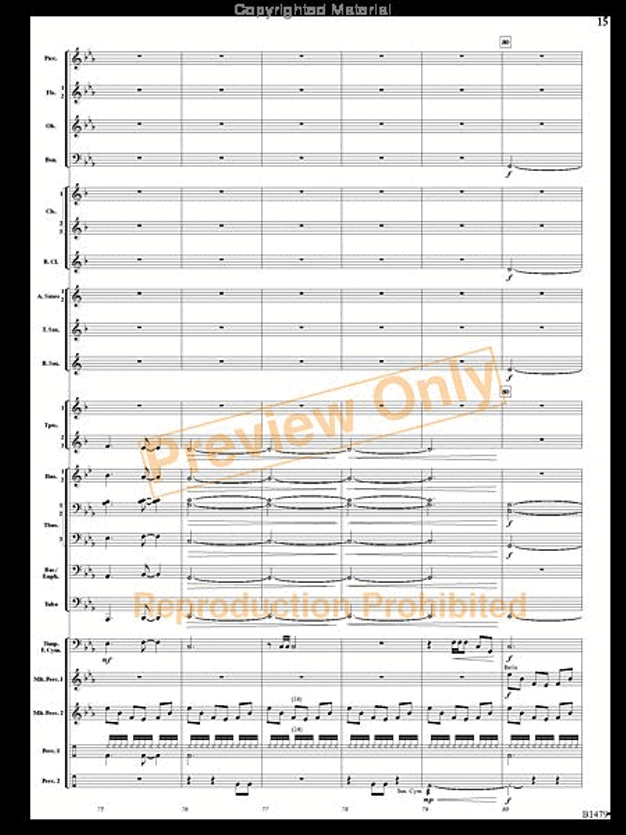 Gravity Wave Gravity Wave Concert Band scores gallery preview page 14