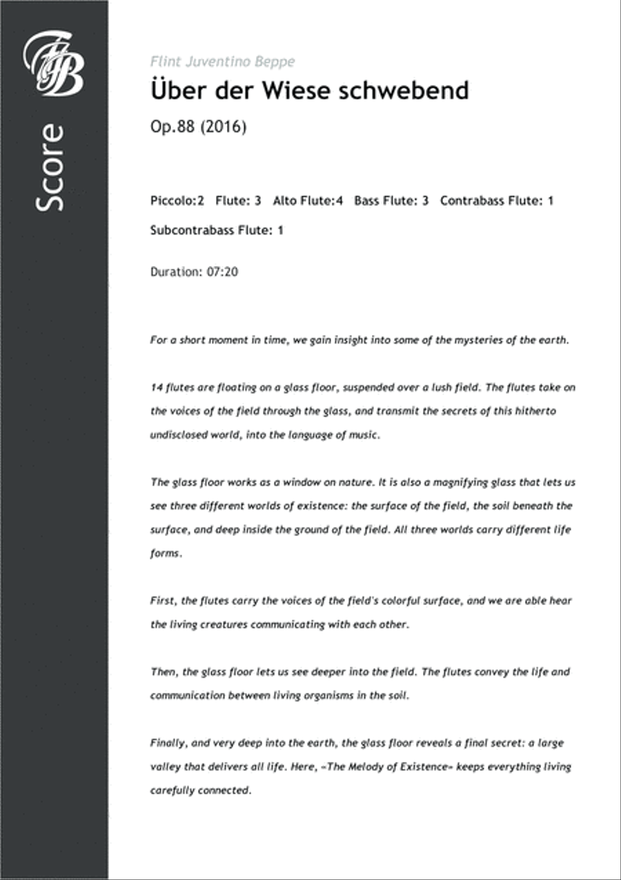 A Piccolo Poem Op.72 Piccolo scores gallery preview page 1