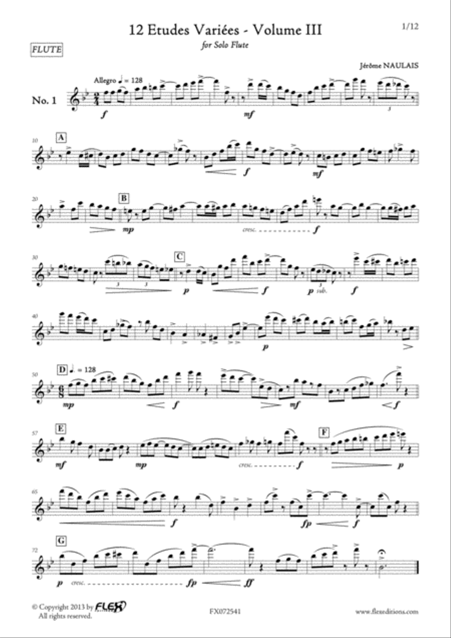 12 Etudes Variees - Volume III Flute Solo scores gallery preview page 2